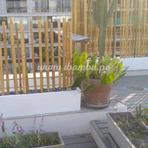 Macetero par bambu | Ibambu