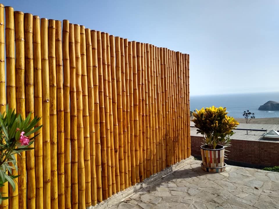 Cerco de Bambu