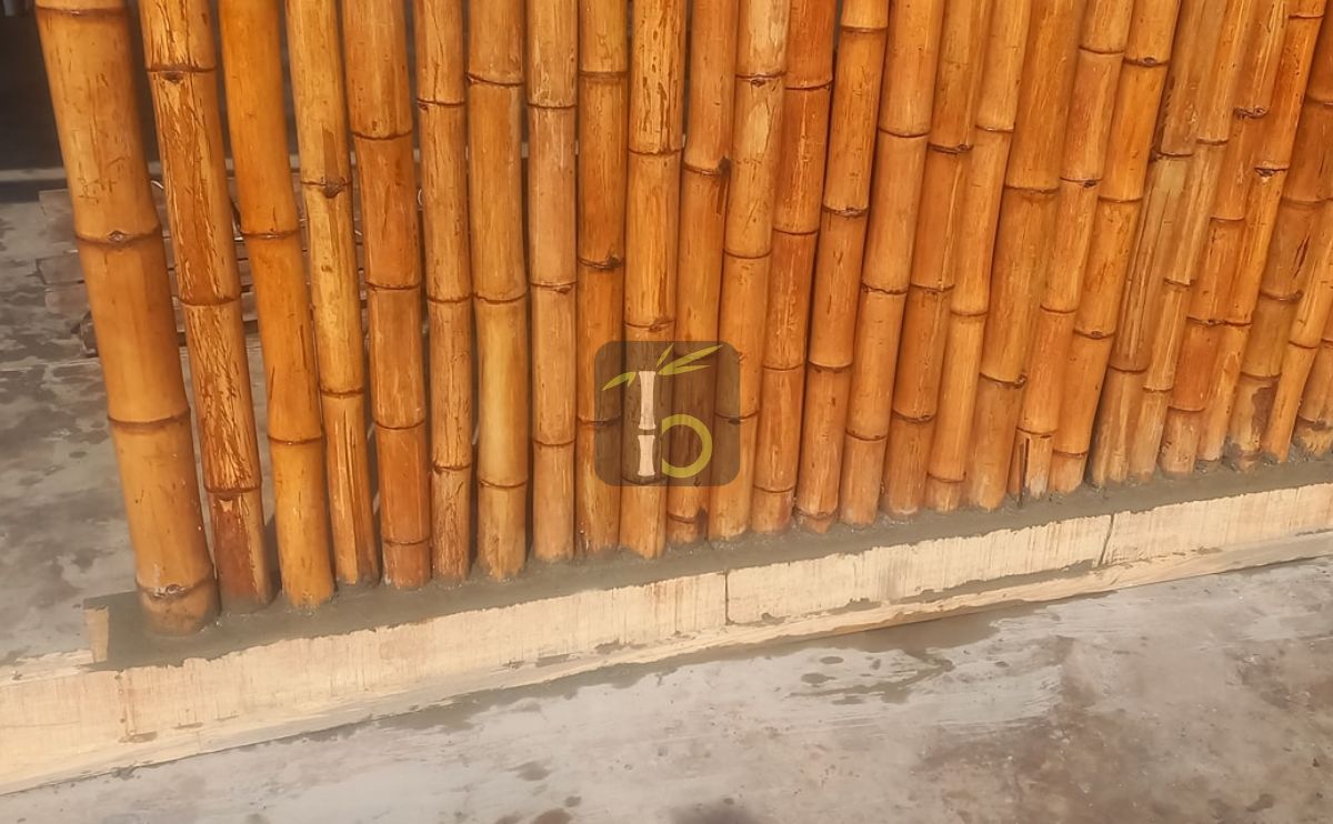 Caña de Guayaquil, 1