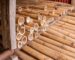 proceso de preservación del bambú caña Guayaquil