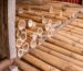 proceso de preservación del bambú caña Guayaquil