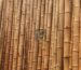 La importancia del uso de la Caña Guayaquil o bambú en el Perú